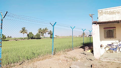 पारगाव : बिबट्यांचे हल्ले रोखण्यासाठी नागरिकांकडून उपाययोजना