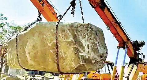 शिळेचा देगलूर ते भगवानगड प्रवास; गडावर येणार्‍या विशाल शिळेची सर्वत्र चर्चा