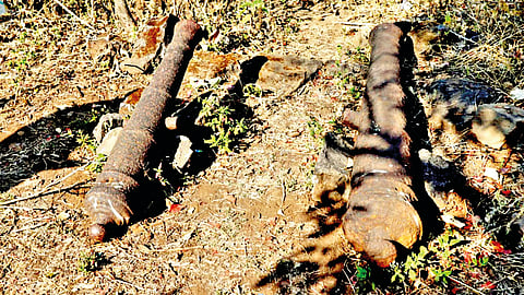 Prachitgad Fort : सह्याद्रीची अद्भूत प्रचिती देणारा ‘प्रचितगड’!