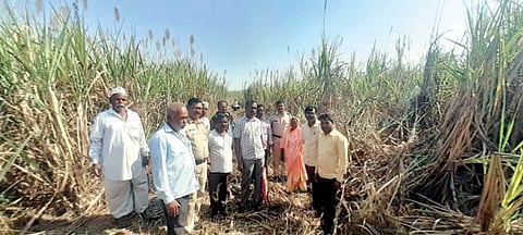 पुणे : महसूल विभागाच्या मध्यस्थीने रस्त्याचा वाद मिटला