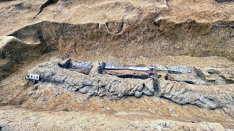 जपानमध्ये सापडली चौथ्या शतकातील तलवार