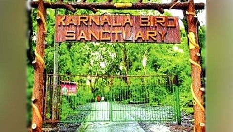 कर्नाळा पक्षी अभयारण्याच्या कक्षा रुंदावणार; ११.६५ कोटीच्या पर्यटन आराखड्याला मान्यता