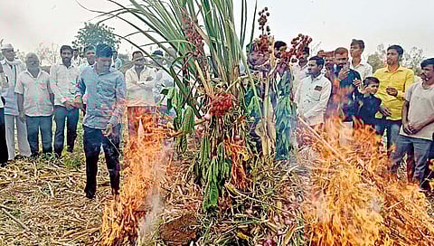 माळवाडी गाव विकणे आहे; कांदा उत्पादक शेतकर्‍यांनी केला ठराव