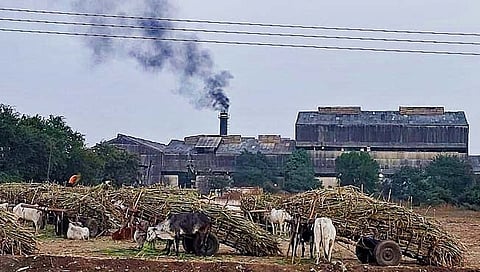 पैठण येथील संत एकनाथ सहकारी साखर कारखान्यावर प्रशासक नियुक्त