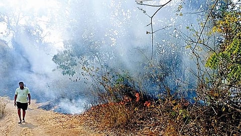 सातारा : वणव्यांमुळे डोंगरांची होतेय राखरांगोळी