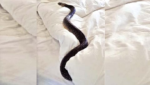 चादर बदलायला बेडरूममध्ये गेली आणि समोर आला…