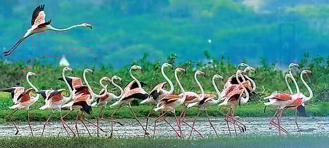 भिगवण : अग्निपंखाच्या कवायती ठरताहेत नेत्रदीपक