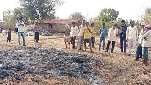 नाशिक : लव्हारदोडी शिवारात शेतात रचून ठेवलेला सोयाबीन जळून खाक