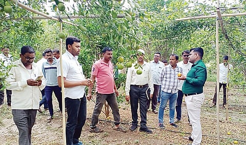 पाथर्डी तालुका : तीनशे हेक्टरवरील शेती पिकांचे नुकसान; फळबागांना अधिक फटका