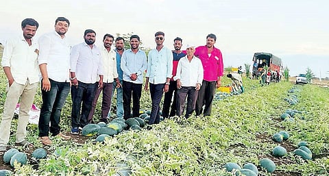 कोळगाव : कलिंगड उत्पादनातून कमावले तब्बल सात लाख रुपये..!