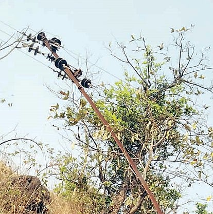 पानशेत खोर्‍यात विजेचे खांब जमीनदोस्त; जोरदार वार्‍यामुळे वीजपुरवठा खंडित