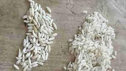 सांगोला : शालेय पोषण आहारात प्लास्टिकचा तांदूळ; घेरडीच्या सरपंचांकडून पोलखोल