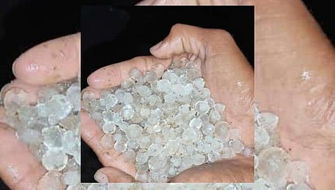 जालना : वडीगोद्री परिसरात अवकाळी पाऊस; गहू हरभरा व फळबागाला फटका