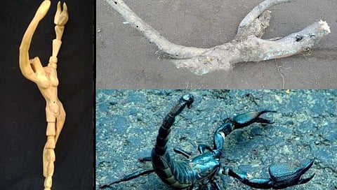 Kolhapur : वडाच्या निर्जीव लाकडातून साकारली सजीव कलाकृती; ‘इश्काची इंगळी’ची रसिकांना भूरळ!