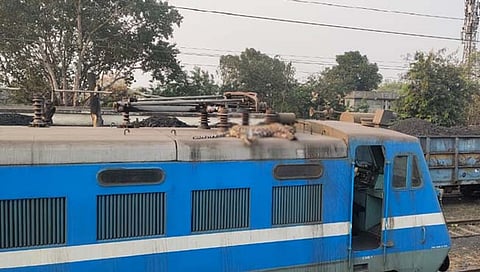 बिबट्याचा मृतदेह  