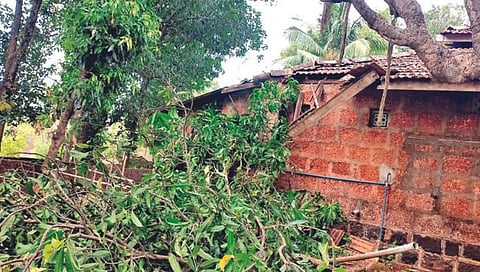 राजापूर, चिपळुणात अवकाळी पावसाचा तडाखा