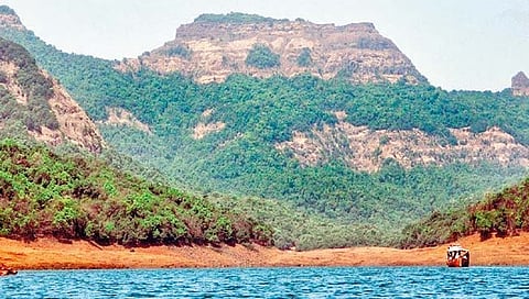 चला पर्यटनाला : कास, बामणोली अन् किल्ले वासोटा : अनोखी अनुभूती