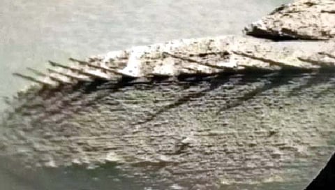 मंगळावर चक्क माशाचे जीवाश्म?