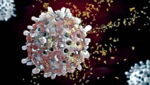 शरीरातील लाखो वर्षांपूर्वीचे ‘विषाणू’ लढतात कर्करोगाशी!