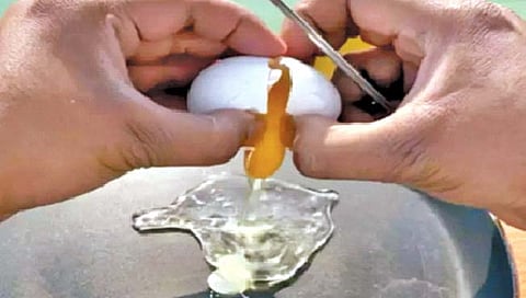 उन्हात ठेवलेल्या पॅनमध्ये अंड्याचे बनले ऑम्लेट!