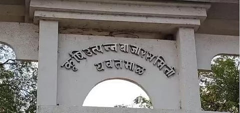 यवतमाळ : सातपैकी चार बाजार समितीवर मविआची सत्ता