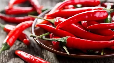लाल मिरची खातेय भाव; बाजारपेठेतील आवक घटली