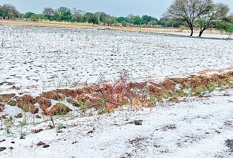 आणखी दोन दिवस महाराष्ट्राला अवकाळीचा धोका; पुण्यासह 18 जिल्ह्यांत ‘यलो अलर्ट’