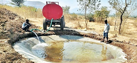 कृत्रिम पाणवठे झाले वन्यप्राण्यांना वरदान; जुन्नर वनपरिक्षेत्रातील चित्र