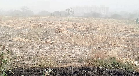 वेल्हे : वादळी पावसाने ज्वारी, आंब्याचे नुकसान