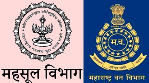 राज्याच्या महसूल आणि वन विभागात साडेतेरा हजार पदे रिक्त