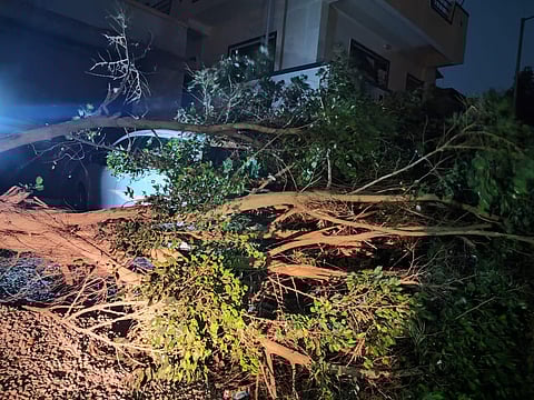 तळेगाव परिसरात तुफान वादळी वाऱ्यासह पाऊस