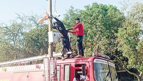 पाथर्डी: अनधिकृत झेंड्यांवर कारवाई, नगर परिषदेच्या कर्मचार्‍यांनी काढले झेंडे; खबरदारी म्हणून उपाययोजना