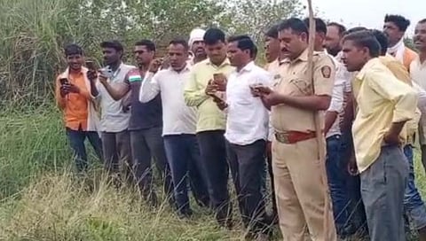 शेतात मृत बिबट्या आढळला  