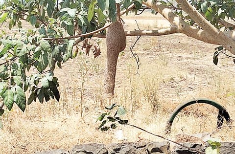 विहिरींचे गतवैभव काळाच्या पडद्याआड !