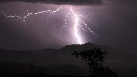 जळगाव : मुक्ताईनगर येथे वीज कोसळून ९ शेळ्या ठार; गुराखी थोडक्यात बचावला