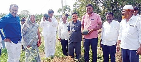 नगरमध्ये पंचनाम्यासाठी तलाठ्यांसह कर्मचारीच उपलब्ध नाहीत