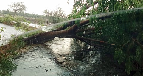 नगरमधील शेवगाव-नेवाशात अवकाळीचे तुफान !