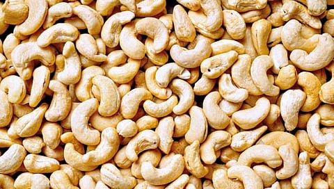 काजू उत्पादक शेतकर्‍यांंचे प्रश्न सुटणार?