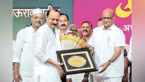 सातारच्या दौर्‍यात शरद पवार बेहद्द खूश! म्हणाले, ‘अजित लक्ष घालतोय यात आनंद’