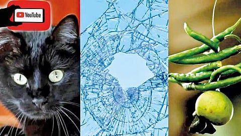 समाजभान : यू ट्यूब गुरूंचा सुळसुळाट