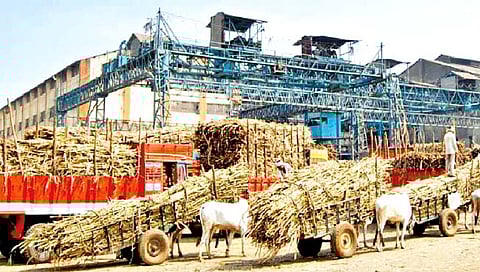 कोल्हापूर : बिद्री कारखान्यासाठी 61 हजार सभासद मतदानास पात्र