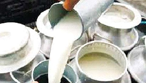 दुग्ध व्यवसायावर आता सरकारचा अंकुश