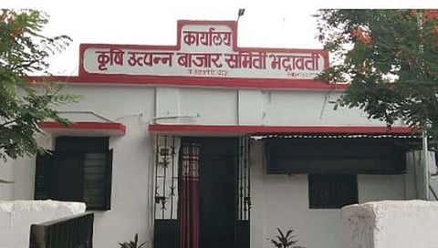 Bhadravati APMC Election : भद्रावती कृषी ऊत्पन्न बाजार समितीत ठाकरे गटाचे वर्चस्व