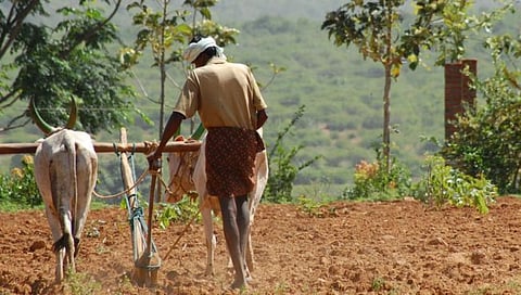 नाशिक : बदलत्या वातावरणाबाबत कृषी विभाग सतर्क ; पावसाच्या वेळेनुसार तयार केले वेळापत्रक
