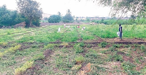 पाटस : पाऊस आला अन् शेतकर्‍यांचे नुकसान करून गेला