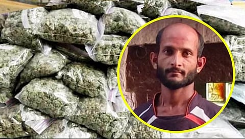 राधानगरीतील पुंगावमध्ये ५९ हजारांचा गांजा जप्त, एकाला अटक