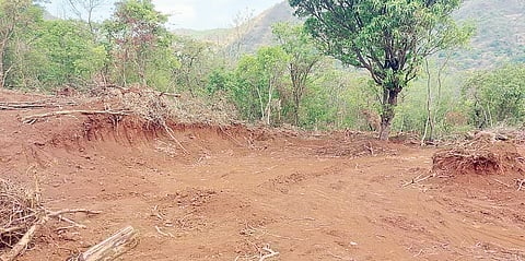 पुणे : शेतीला दिवसा वीजपुरवठ्यासाठी ग्रामपंचायतींनी गायरान जमीन द्यावी