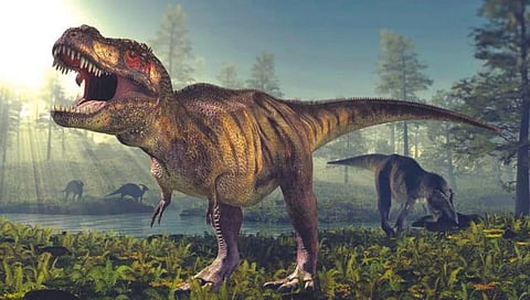 Tyrannosaurus rex : पृथ्वीवर वावरले १.७ अब्ज टी-रेक्स डायनासोर
