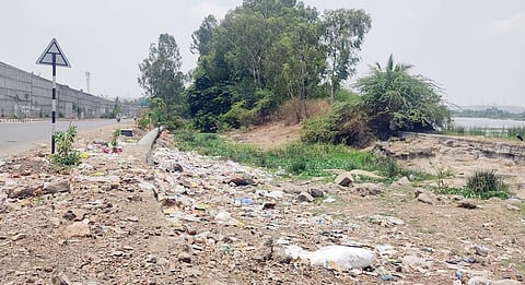 पाटसमधील तलावाच्या परिसरात कचर्‍याचे ढीग