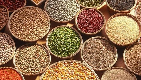 Seeds For Kharif Season : खरीप हंगामासाठी बियाण्यांचा पुरेसा साठा ठेवा : केंद्र सरकारचा राज्यांना सल्ला 